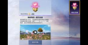 和平精英僚机物资燃料是啥？是永久的吗？