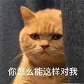 暗中委屈橘猫表情包 9枚高清版 最新版