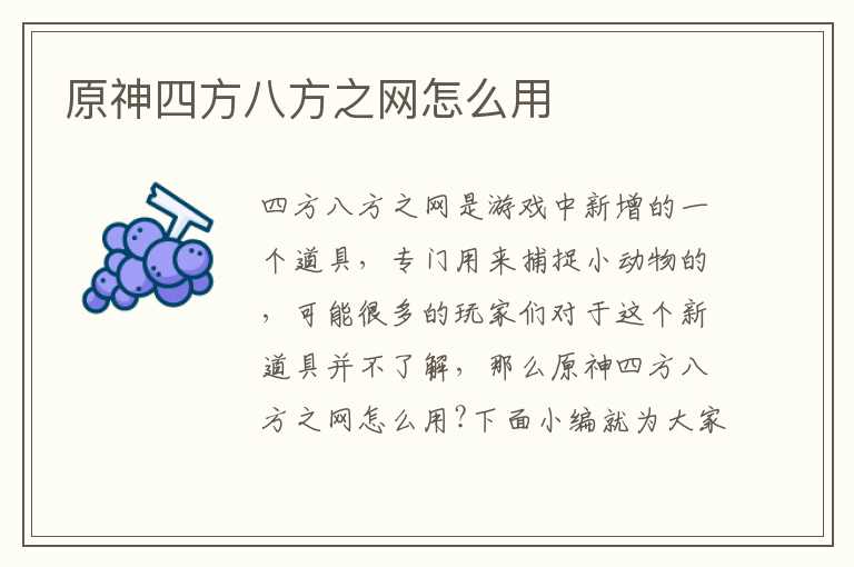 原神四方八方之网怎么用
