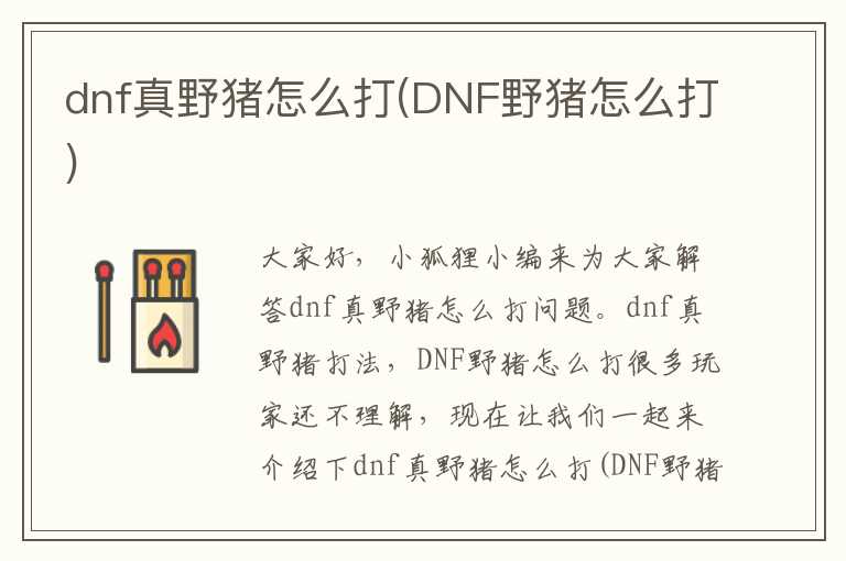 dnf真野猪怎么打(DNF野猪怎么打)
