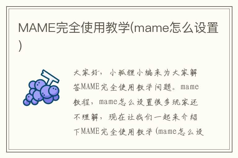MAME完全使用教学(mame怎么设置)