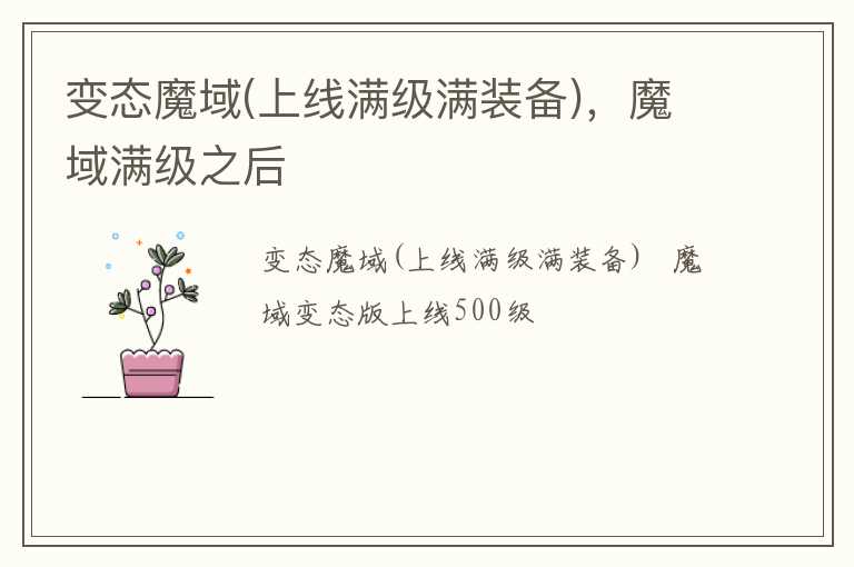 变态魔域(上线满级满装备)，魔域满级之后